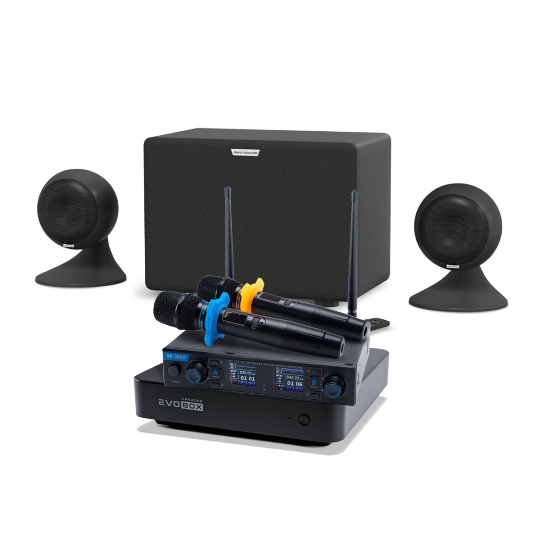 караоке-комплект EVOBOX + EvoSound Sphere 2.1 в Анжеро-Судженске