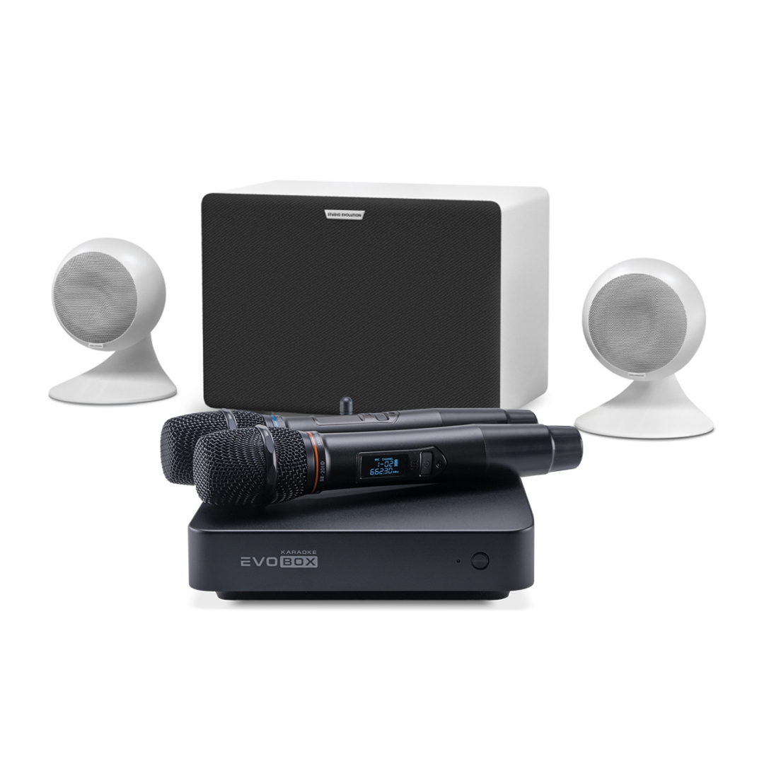 караоке-комплект EVOBOX Classic + EvoSound Sphere 2.1 в Анжеро-Судженске