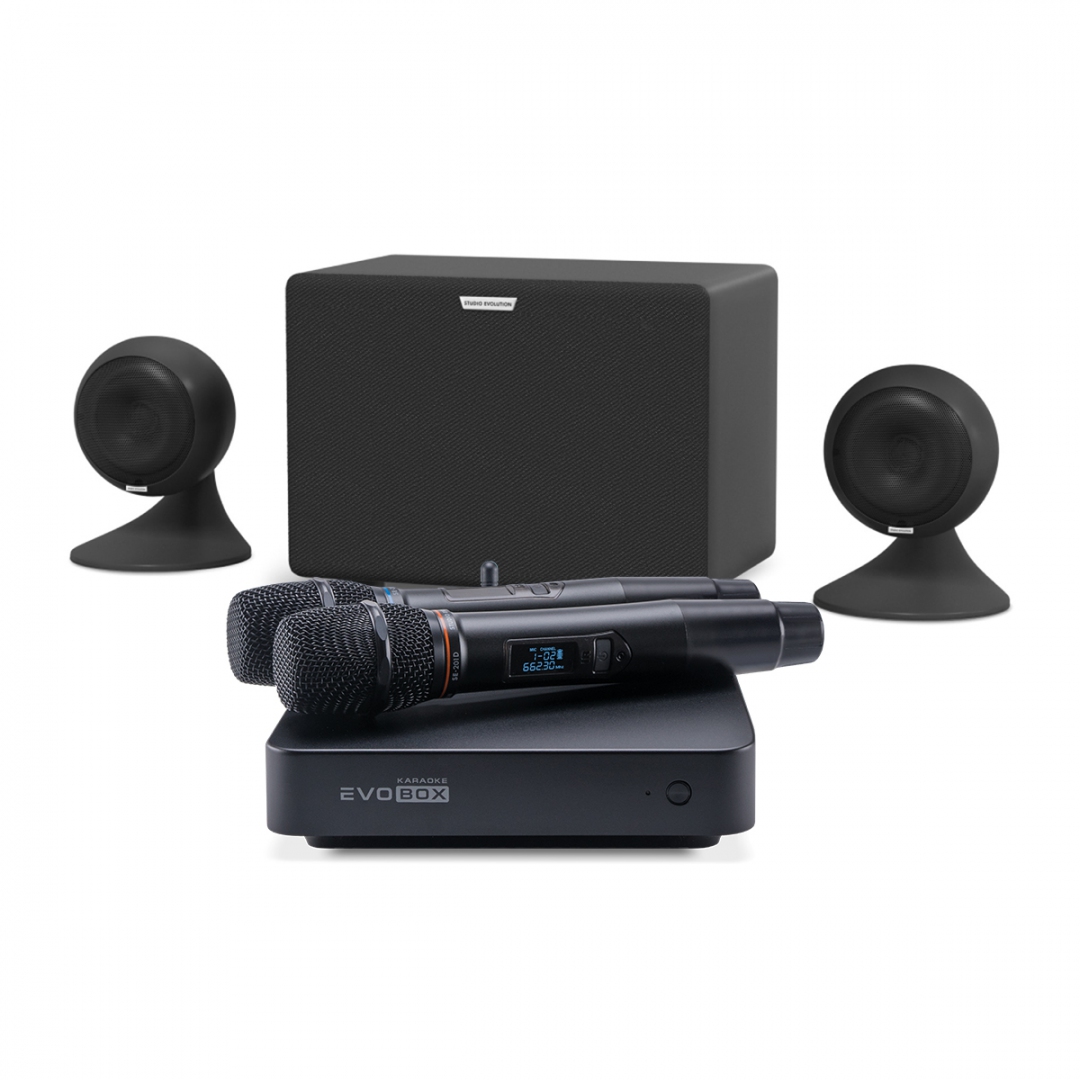 караоке-комплект EVOBOX Plus + EvoSound Sphere 2.1 в Анжеро-Судженске
