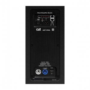 Активная акустическая система AST-310A в Анжеро-Судженске