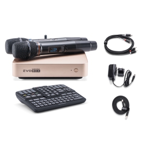 EVOBOX Classic караоке-система для дома в Анжеро-Судженске