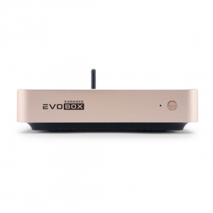 EVOBOX Plus караоке-система для дома в Анжеро-Судженске