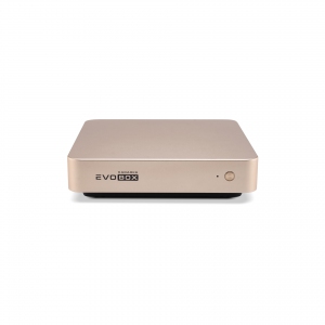 EVOBOX с микрофонами в Анжеро-Судженске